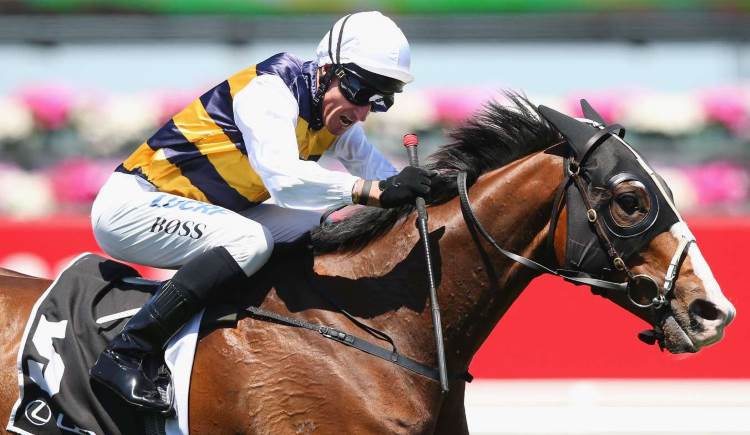 Kingston Town Classic 2018 - Horses, Expert Betting Tips & Odds | GoBet