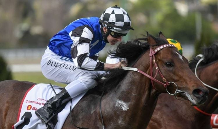 brave smash racehorse