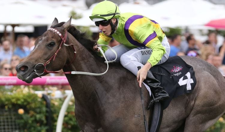 February 16, 2018 – Friday Horse Racing Tips for Moonee Valley & Canterbury