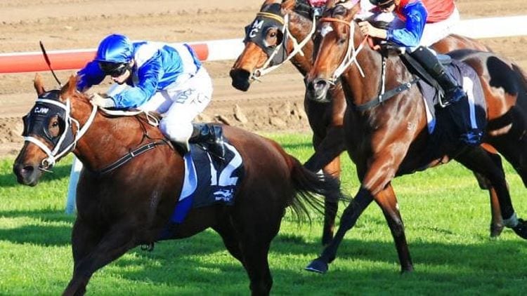 April 25, 2018 – Wednesday Horse Racing Tips for Flemington & Randwick