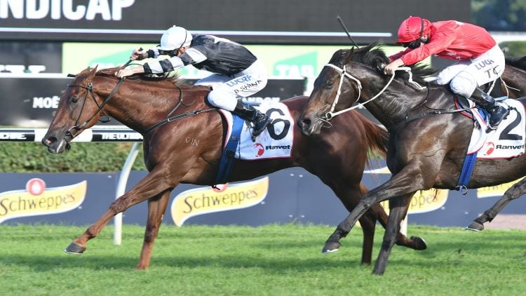 June 2, 2018 – Saturday Horse Racing Tips for Sunshine Coast & Rosehill