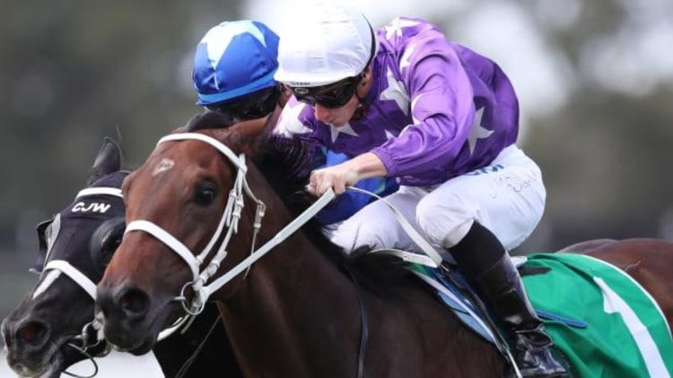 September 5, 2018 – Wednesday Horse Racing Tips for Randwick & Ballarat
