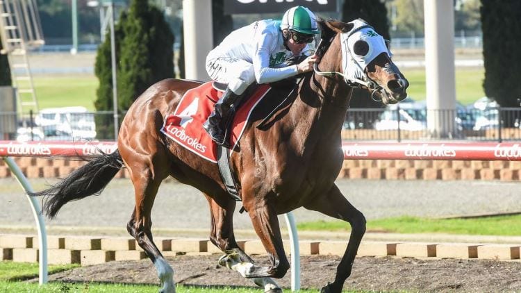 June 30, 2018 – Saturday Horse Racing Tips for Sunshine Coast & Caulfield