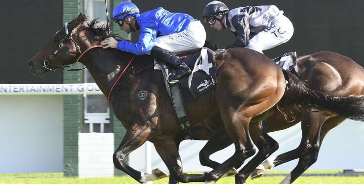 June 11, 2018 – Queen’s Birthday Horse Racing Tips for Randwick & Mornington