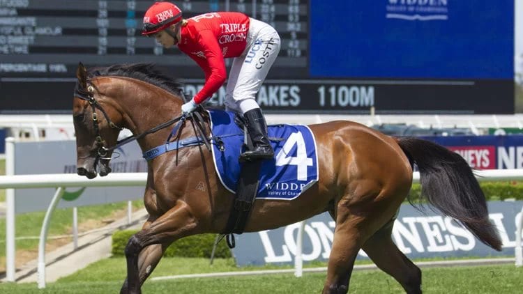 July 18, 2018 – Wednesday Horse Racing Tips for Warwick Farm & Sandown