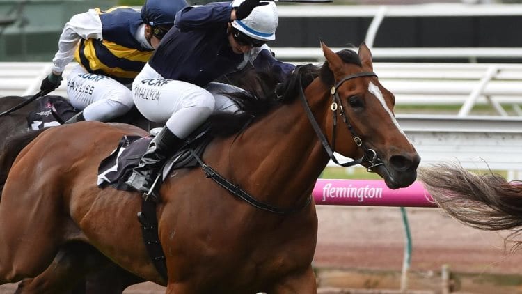 July 21, 2018 – Saturday Horse Racing Tips for Randwick & Flemington