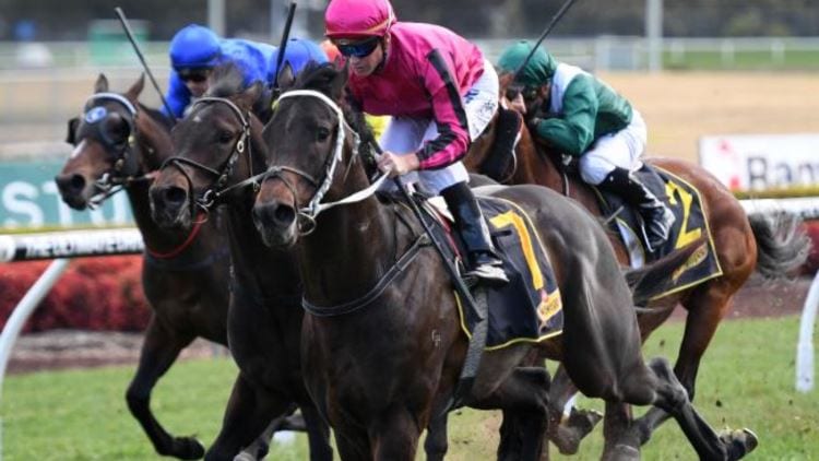 July 4, 2018 – Wednesday Horse Racing Tips for Canterbury & Sandown