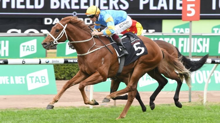 August 25, 2018 – Saturday Horse Racing Tips for Rosehill
