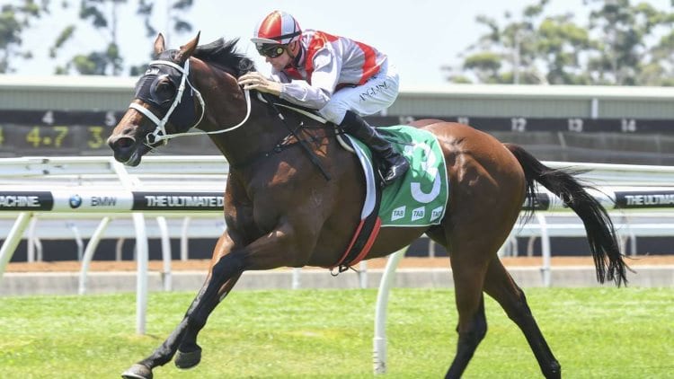 August 22, 2018 – Wednesday Horse Racing Tips for Sandown & Warwick Farm