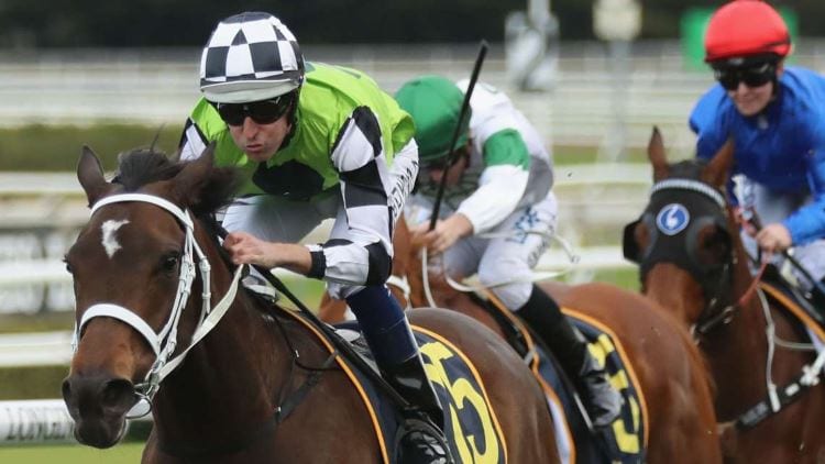Epsom Handicap 2018 – Horses, Betting Tips & Odds