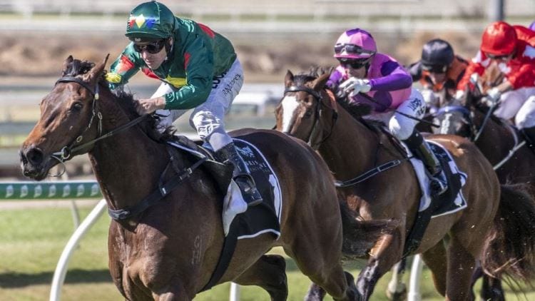 Caulfield Guineas 2019 – Horses, Betting Tips & Odds
