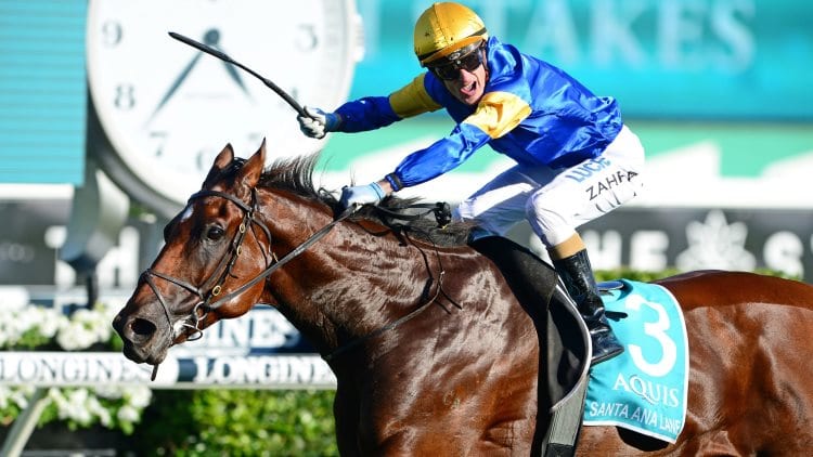 The Everest 2019 – Horses, Betting Tips & Odds