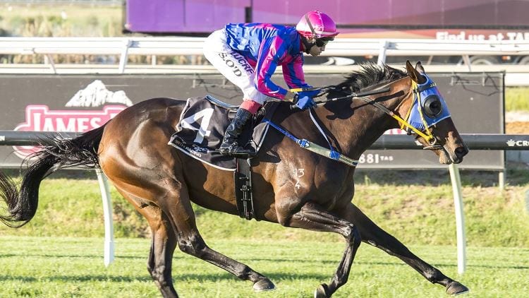 November 21 , 2018 – Wednesday Horse Racing Tips for Sandown & Newcastle