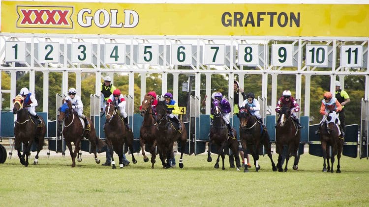 grafton horse racing