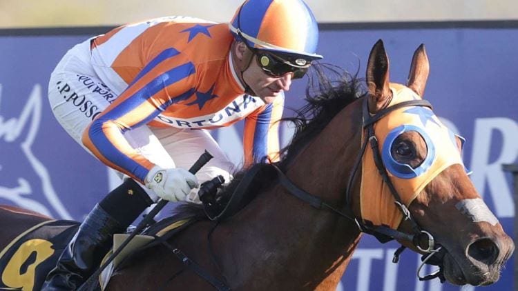 Mackinnon Stakes 2019 – Horses, Betting Tips & Odds