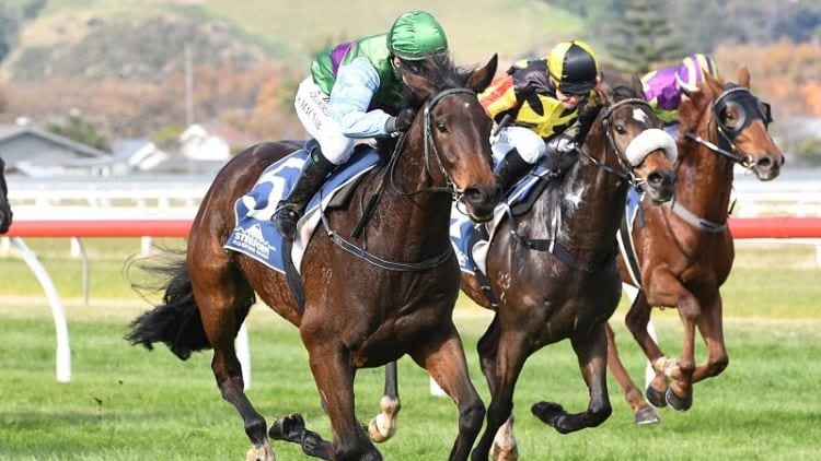 December 5, 2018 – Wednesday Horse Racing Tips for Warwick Farm & Sandown
