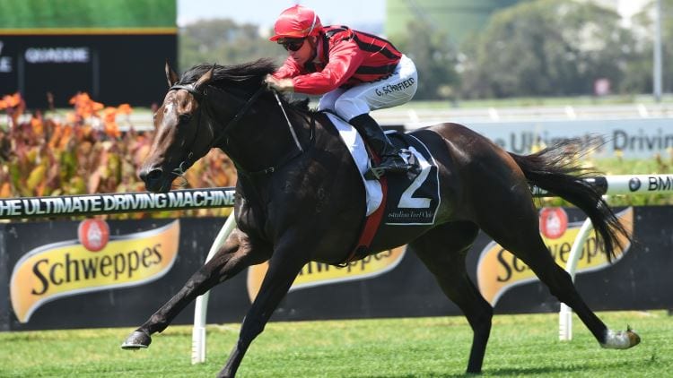 29/12/18 – Saturday Horse Racing Tips for Doomben