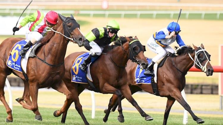 February 22, 2019 – Friday Night Horse Racing Tips for Canterbury & Moonee Valley