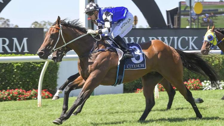 27/02/19 – Wednesday Horse Racing Tips for Doomben