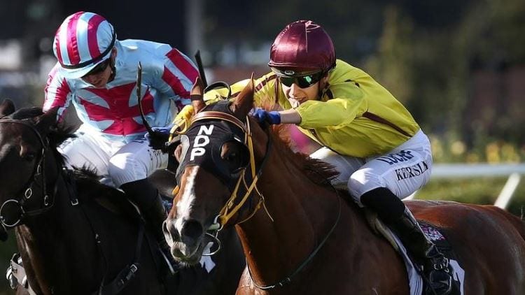 March 15, 2019 – Friday Night Horse Racing Tips for Moonee Valley