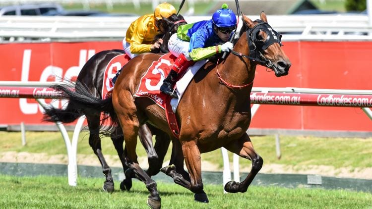 Caulfield Horse Racing Tips - Saturday, April 6th 2019  GoBet