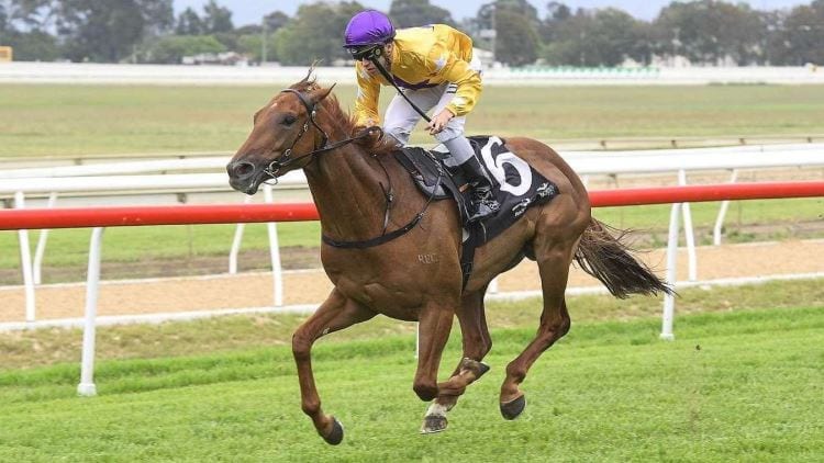 17/08/19 – Saturday Horse Racing Tips for Randwick
