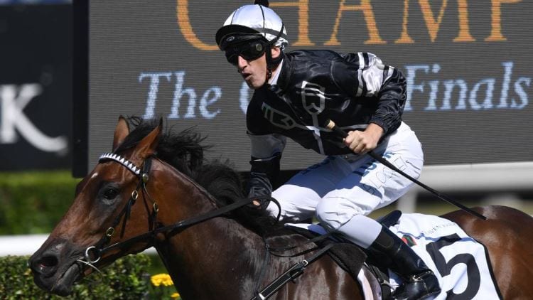 The Kosciuszko 2019 – Horses, Betting Tips & Odds