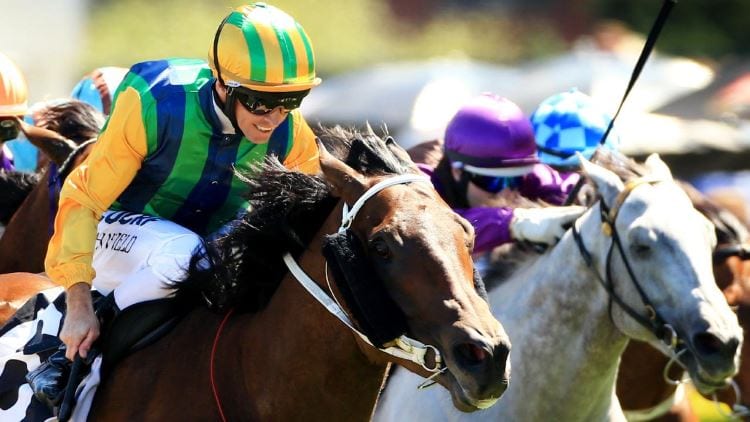 2019 Oaks Day Betting Tips for Flemington