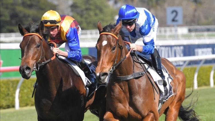 24/08/19 – Saturday Horse Racing Tips for Randwick