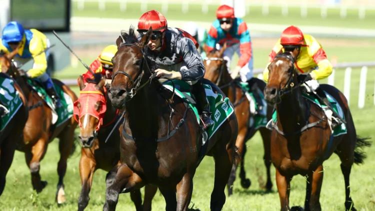 17/08/19 – Saturday Horse Racing Tips for Eagle Farm