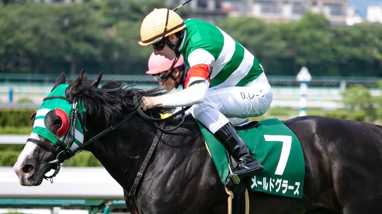 Caulfield Cup 2019 – Horses, Betting Tips & Odds