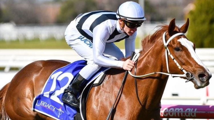 21/09/19 – Saturday Horse Racing Tips for Caulfield