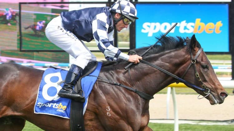 Underwood Stakes 2020 – Horses, Betting Tips & Odds