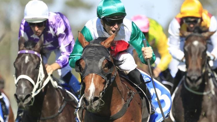 Spring Champion 2019 – Horses, Betting Tips & Odds