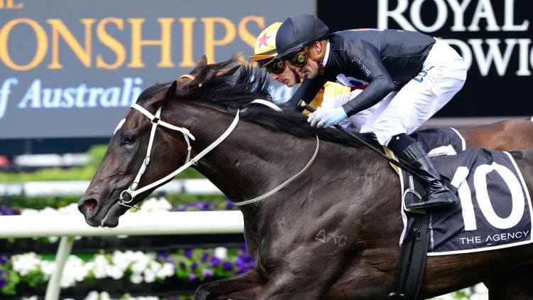 Silver Eagle 2019 – Horses, Betting Tips & Odds