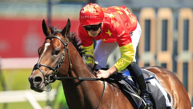 Coolmore Stud Stakes 2020 – Horses, Betting Tips & Odds