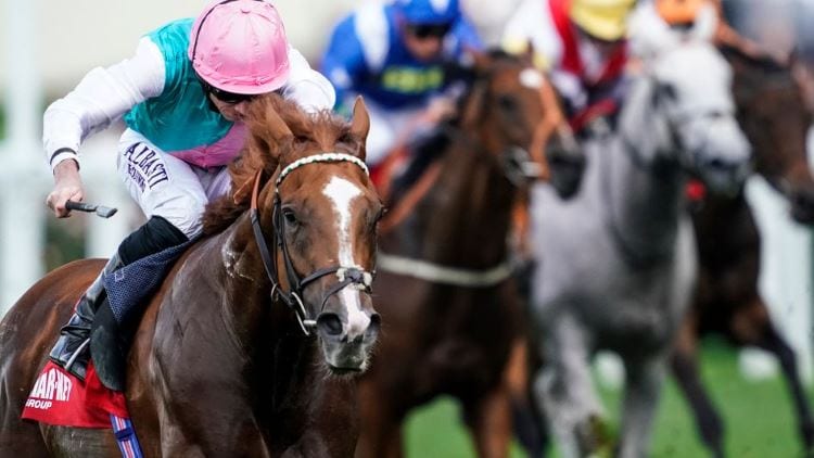 16/11/19 – Saturday Horse Racing Tips for Ascot