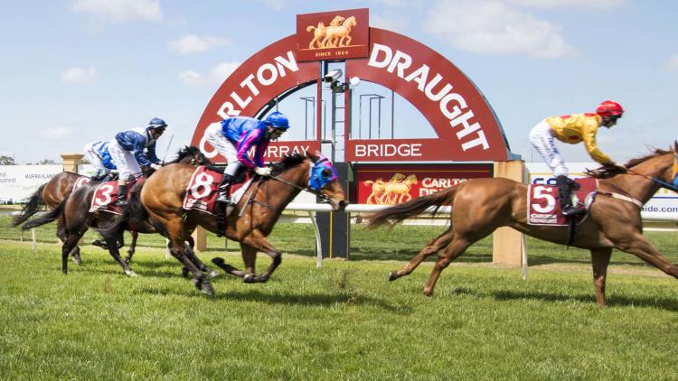 8/8/20 – Saturday Horse Racing Tips for Murray Bridge
