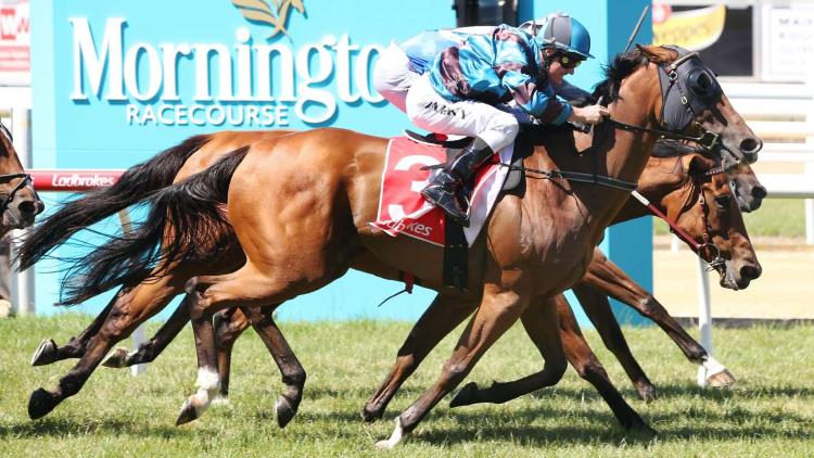 mornington horse racing tips