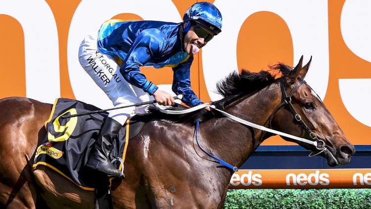Empire Rose Stakes 2020 β Horses, Betting Tips & Odds