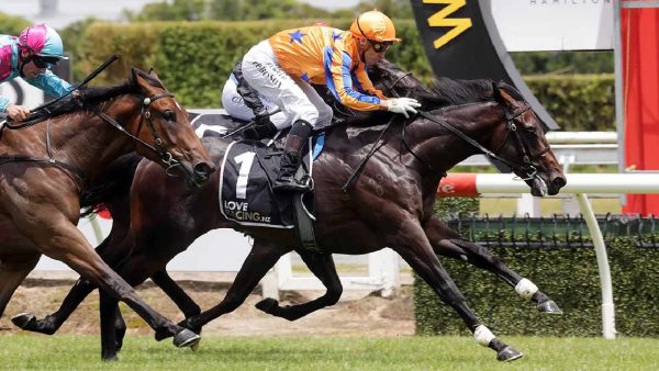 trobriand racehorse