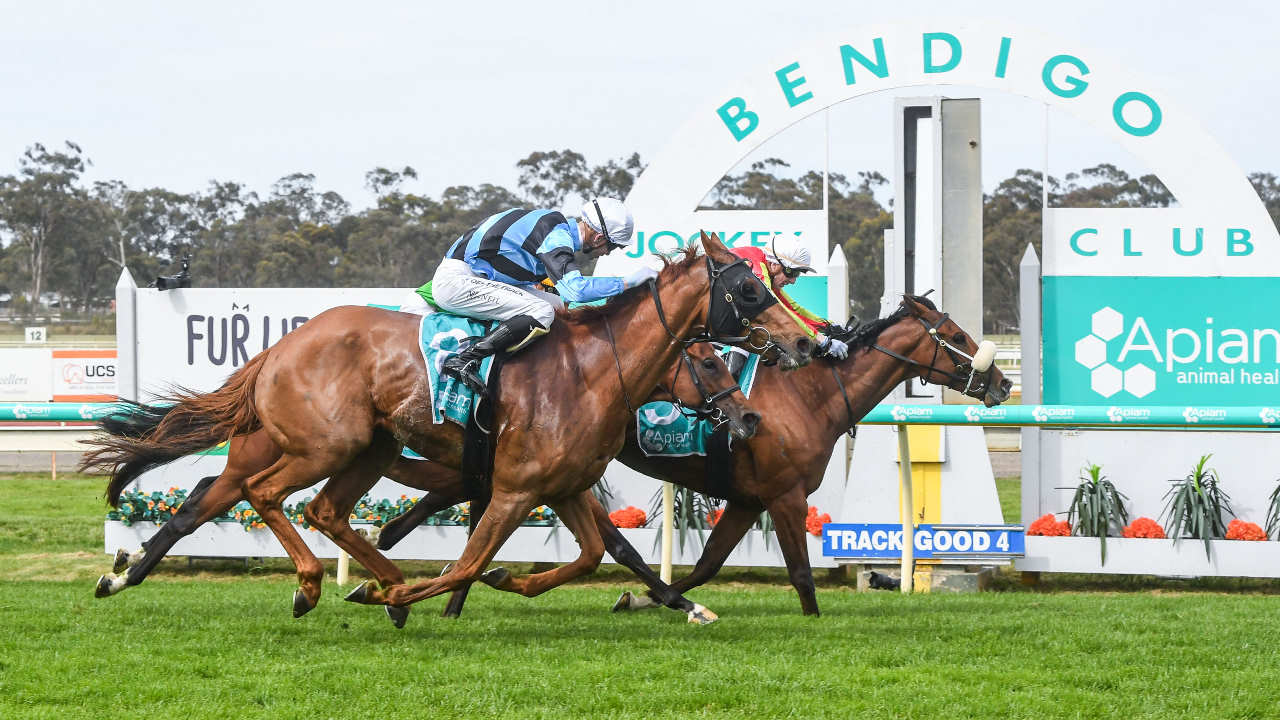 28/11/23 – Tuesday Horse Racing Tips 28/11/23 – Tuesday Horse Racing Tips