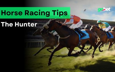 gobet the hunter tips