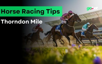 gobet thorndon mile tips
