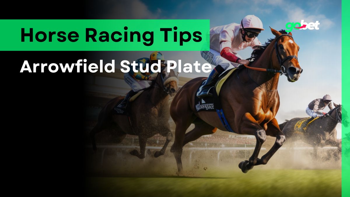 Arrowfield Stud Plate 2024 Betting Tips