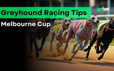 gobet greyhound melbourne cup tips