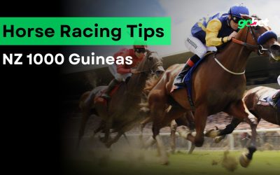 gobet nz 1000 guineas betting tips