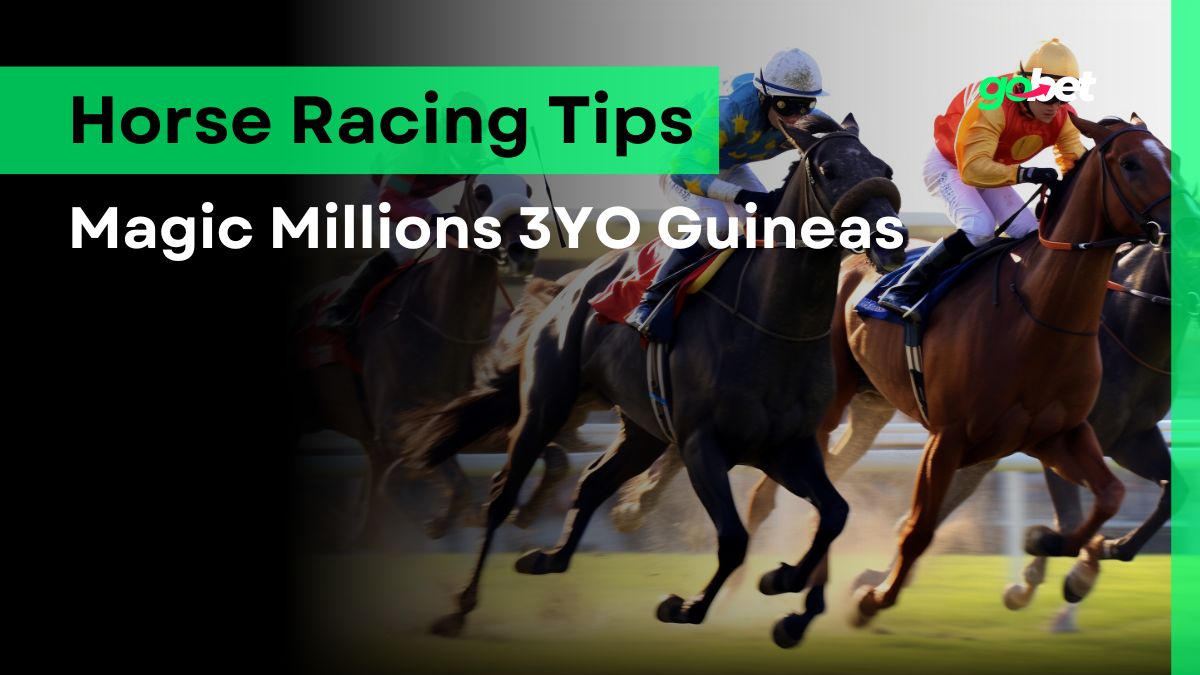gobet magic millions 3yo guineas tips