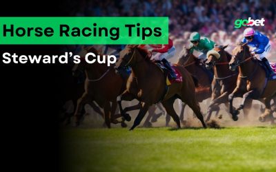 gobet steward's cup tips
