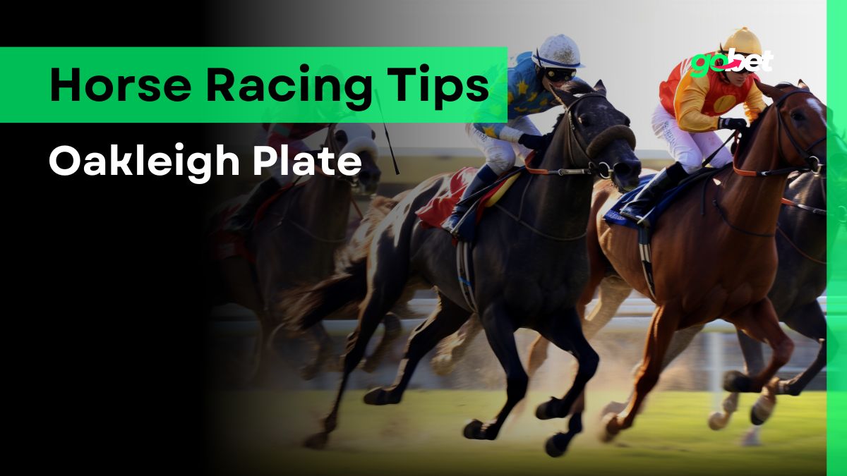 Oakleigh Plate 2025 Betting Tips